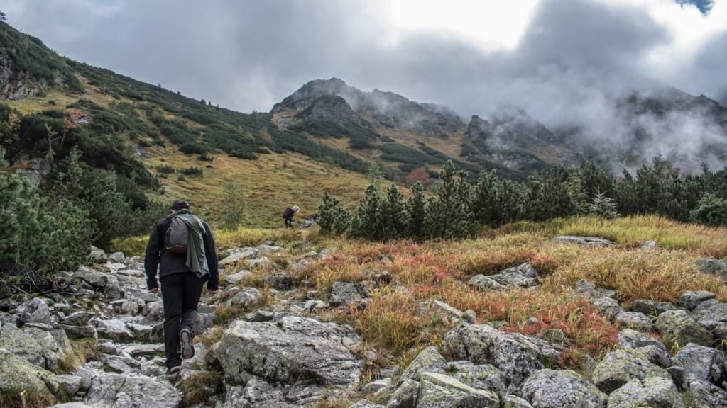 Two hikers navigate a rocky trail in a picturesque mountain landscape with vibrant greenery
